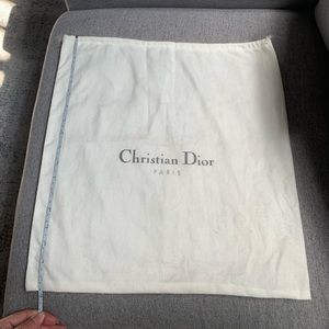 Authentic Christian Dior Dust Bug